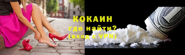 крисы Белокуриха