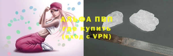 крисы Белокуриха