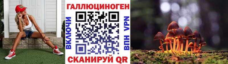 Галлюциногенные грибы мицелий где купить наркотик Окуловка